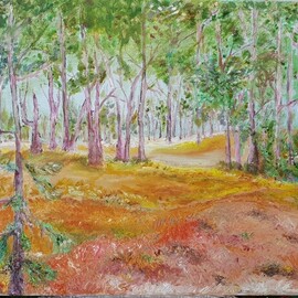 Forest, Dan Shiloh