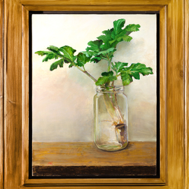 Mikhail Velavok: 'A Plant', 2017 Oil Painting, Still Life. Artist Description: Original oil painting on stretched canvas.  The artwork is being sold framed in natural light wood grain floating frame 63x53cm.  Artwork without frame has dimensions 45x35cm.  It is wired and ready for hanging.hogweed, still life, jar, glass, plant, leaf, green, yellow, brown, framed, wired, ready to hang...