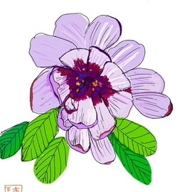 Debbi Chan Artwork a little more purple, 2015 Digital Painting, Botanical