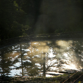 Debbi Chan: 'closer look at quiet reflection', 2011 Color Photograph, Beauty. Artist Description:   photos from idaho.  ...