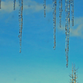 Debbi Chan: 'colored ice sticks', 2010 Color Photograph, Beauty. Artist Description:        photos from Idaho.       ...