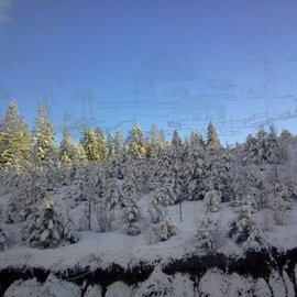 Debbi Chan: 'etched window shows winter landscape', 2010 Color Photograph, Beauty. Artist Description:   photos from Idaho. ...