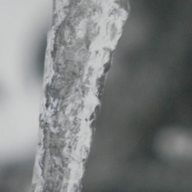 Debbi Chan: 'ice without color', 2010 Black and White Photograph, Beauty. Artist Description:   paintings from idaho. ...