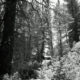 Debbi Chan: 'little house in the woods', 2011 Black and White Photograph, Beauty. Artist Description:              photos from idaho                  ...