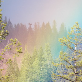 Debbi Chan: 'one more rainbow', 2012 Color Photograph, Beauty. Artist Description:     photos from Idaho.    ...