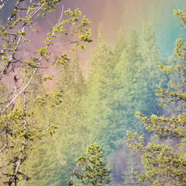 Debbi Chan: 'the end of a rainbow', 2012 Color Photograph, Beauty. Artist Description:   photos from Idaho.  ...
