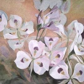 A Profusion of Sego Lilies By Sue Jacobsen
