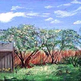 Terri Cabral: 'backyard view', 1999 Oil Painting, Landscape. Artist Description: A view of the artists backyard in Massachusetts. ...