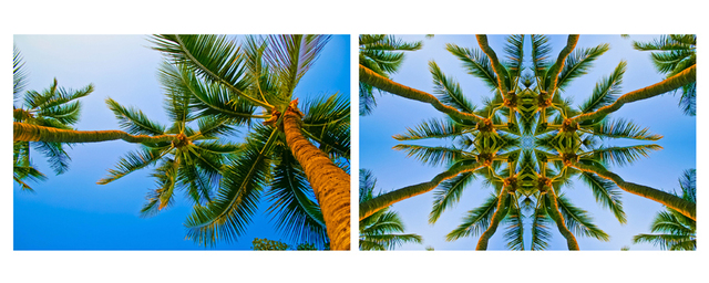 Artist Tiger Lily Jones. 'A Lovely Coco Palms Evening It Is, Kaleidoscopic Diptych' Artwork Image, Created in 2011, Original Printmaking Giclee - Open Edition. #art #artist