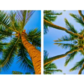 A Lovely Coco Palms Evening It Is, Kaleidoscopic Diptych By Tiger Lily Jones