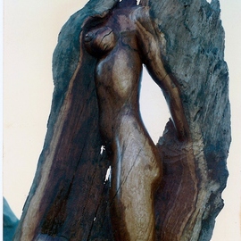 Depasquale Sculptures: 'Walk This Way', 2011 Wood Sculpture, Figurative. Artist Description:               Signed original by dePasquale, accompanied with Certificate of Authenticity. Also includes professional packaging and insurance. This sculpture captures a woman evolving from a tree. . . There was an undulation where the knee is. . . that provoked the figures existence. Carved from a piece of Big Bear lake California, oak wood. ...