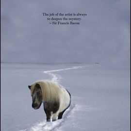 The Ponys Trail Francis Bacon Quote, Wayne King