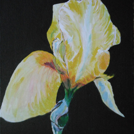 Wendy Goerl: 'Isolated Iris', 2011 Acrylic Painting, Floral. Artist Description:  One good look at one iris. On canvas panel.  Easily fits most 8x10