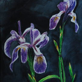 Purple Flags By Wendy Goerl