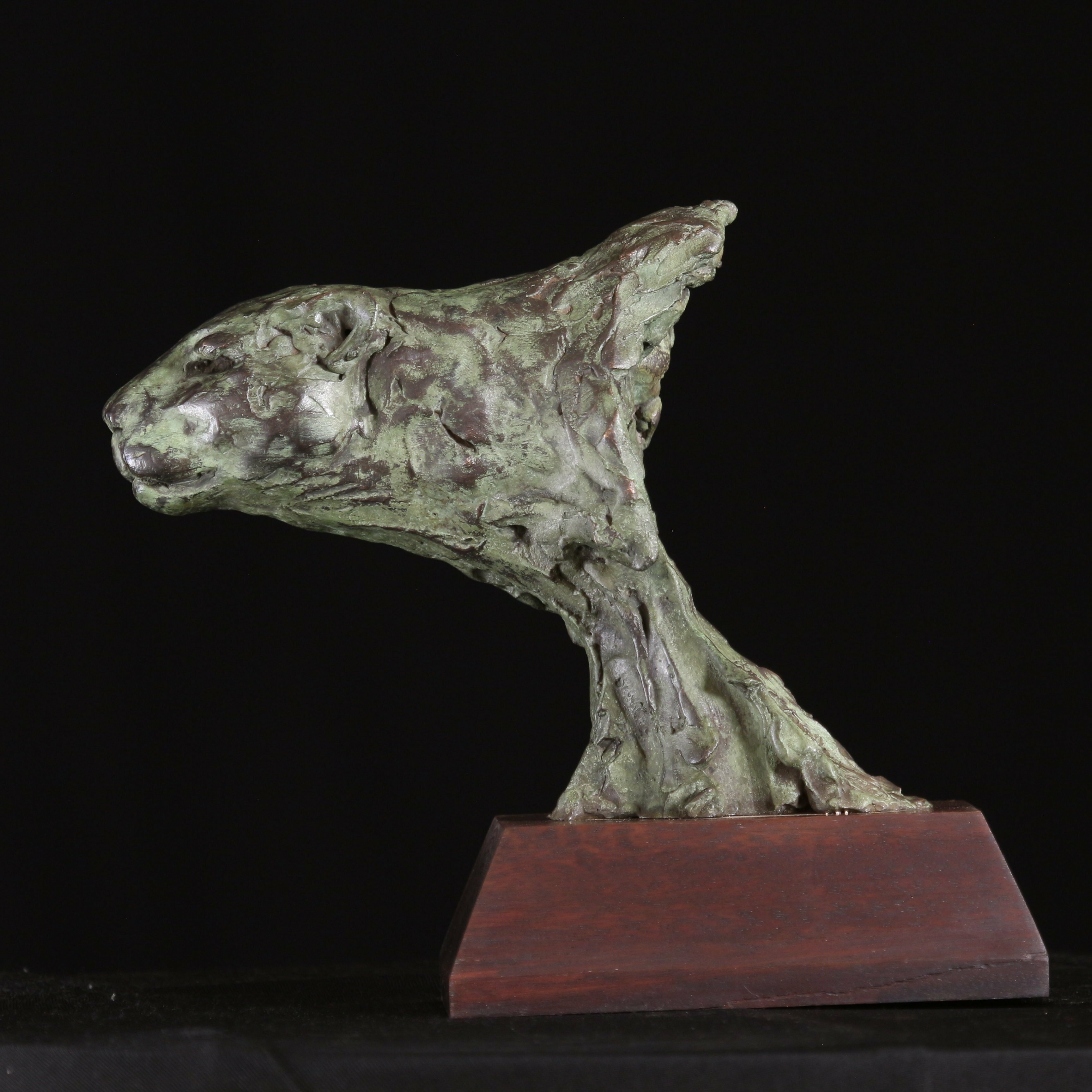 Willem Botha: 'anticipation', 2019 Bronze Sculpture, Animals. Sculpture Bronze on Wood.There is no better experience to see a Leopard in the wild just before he go in for the kill.  This is a frame grab of this predator waiting in Anticipation for the right moment.This is No 1 out of 15 limited edition in Bronze. ...