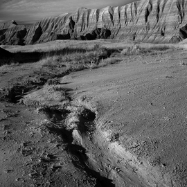 George Wilson: 'Deer Haven II', 2016 Black and White Photograph, Landscape. Artist Description:    Infrared Black and White Landscape at Conata Picnic Area Trailhead, SD - printed on a 116 aluminum sheet and mounted with a metal easel or float mount so they are ready to display as soon as they arrive    ...