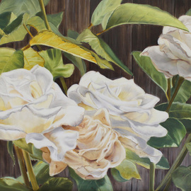 Marsha Bowers: 'white garden roses', 2023 Oil Painting, Floral. Artist Description: This painting was inspired from a photo I took in my garden of white roses. ...