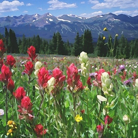 Steve Tohari: 'wildflowers breckenridge 1', 2018 Color Photograph, Landscape. Artist Description: Wildflowers above Breckenridge, Colorado - Indian paintbrush on the Tundra. Photograph edited for painted effect. Colorado, Breckenridge, wildflowers, landscape, Tundra, Indian Paintbrush...