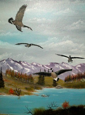 Al Johannessen; Canada Air Show, 2011, Original Painting Oil, 12 x 15 inches. Artwork description: 241    Canada geese landing to feed near Rock Creek in Montana      ...