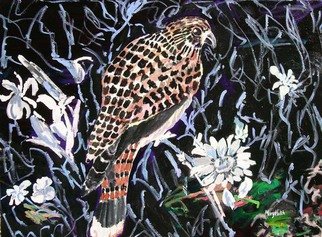 Mary Hatch; Night Hawk, 2012, Original Painting Acrylic, 40 x 30 inches. Artwork description: 241  Part of the Bird, Flora and Fauna Series. Night Hawk with black background and white flowers. ...