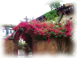 Tammy Gatten; The Misson, 2007, Original Photography Color, 20 x 16 inches. Artwork description: 241  Fusia flowers on the Old San Juan Capistrano Misson in California, USA. The swallows return every year. ...