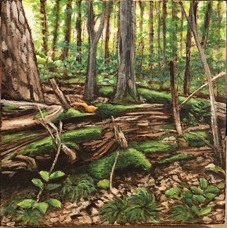 Bonie Bolen; Forest Scene, 2017, Original Printmaking Woodcut, 6 x 6 inches. Artwork description: 241 small wood burning and paint on wood...