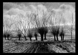 Calin Baban; Trees, 2020, Original Drawing Graphite, 100 x 70 cm. Artwork description: 241 A PIECE FROM NATURE...