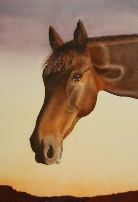Carolyn Judge; Beauty, 2010, Original Watercolor, 27 x 38 cm. Artwork description: 241  We photographed this horse in the North of the North Island of New Zealand.  The timing was perfect as the sun was setting over the Tasman Sea.  We fed this horse and his two companions some of our morning muesli and they repaid us by posing for ...