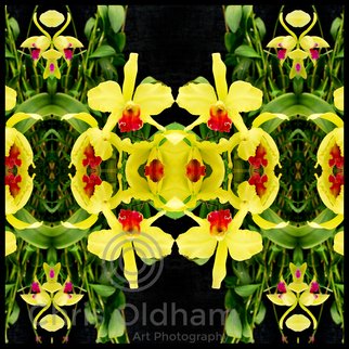 Chris Oldham; Varsuum, 2016, Original Photography Digital, 24 x 24 inches. Artwork description: 241  Orchid photographed and reflected to amplify the inherent beauty, symmetry and sacred geometry present in all nature. ...