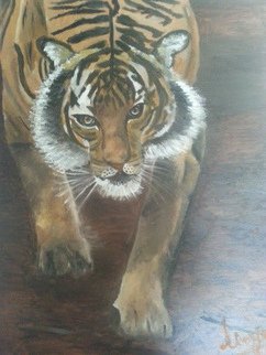 Divya Rakshith; Tiger Trail, 2014, Original Painting Oil, 16 x 18 inches. Artwork description: 241  This is an oil on canvas painting. ...
