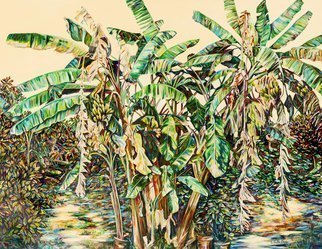 Caren Keyser, 'Banana Trees', 2001, original Painting Acrylic, 48 x 62  x 1.5 cm. Artwork description: 2307 Banana Trees often include dead or dying fronds of dry curling old leaves.  This group is no exception.  There are also clusters of green bananas and the broad swaying green branching leaves that the plants are so distinctive.  ...
