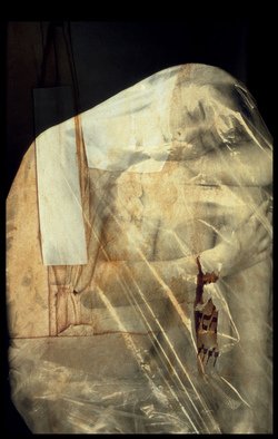 Claudia Nierman, 'Chrysalis', 2000, original Photography Cibachrome, 32 x 45  inches. Artwork description: 2103  This image is also available printed on canvas 57 x 80. ...