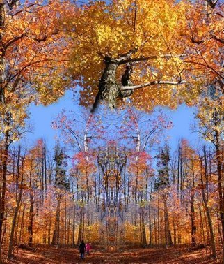 Dave Martsolf, 'Crown Trail Blazing', 2009, original Printmaking Giclee, 34 x 40  inches. Artwork description: 7059  Photomanipulation printed on canvas and stretched on strips with white edge ready for framing.  Photography shot in Pillsbury State Park, Lempster, New Hampshire in October 2008. ...