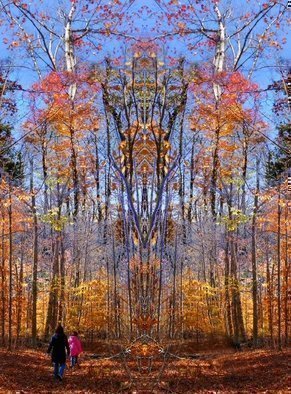 Dave Martsolf, 'Trail Blazing Nexus', 2009, original Printmaking Giclee, 22 x 30  inches. Artwork description: 7059  Photomanipulation of original photography shot in Pillsbury State Park, Lempster, New Hampshire in October 2008. ...