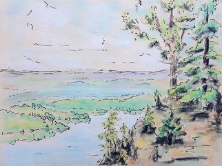 Dave Martsolf, 'Shenandoah', 1976, original Pastel, 12 x 9  inches. Artwork description: 5079 Shenandoah was created in 1976 after a trip through the region.  The medium is a combination of ink and pastel on paper. ...