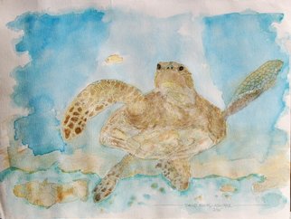 David Rocky Aguirre; Hawaiian Turtle, 1994, Original Watercolor, 12 x 9 inches. Artwork description: 241   Hawaiian sea turtle. Watercolor on paper.  ...