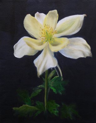 Dana Dabagia; Colorado Dreaming, 2011, Original Painting Oil, 11 x 14 inches. Artwork description: 241  The state flower of Colorado, the columbine.On Gallery Wrap Canvas   ...