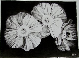 Ralitsa Veleva; Flower, 2012, Original Drawing Pencil, 14 x 11 cm. 