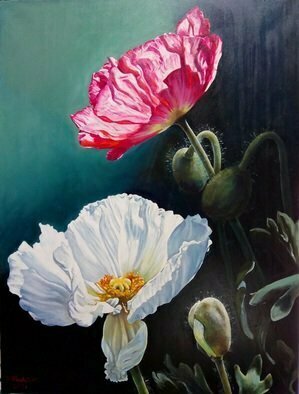 Manuela Facchin Varalda; Poppies The Earth Song, 2021, Original Painting Oil, 60 x 80 cm. Artwork description: 241 this is an unique piece original artwork oil on canvas. ...