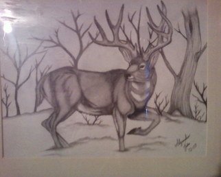 Alejandro Jake; Mule Deer , 2009, Original Drawing Pencil, 11 x 8 inches. Artwork description: 241  A drawing I Did of an Mule Deer ...