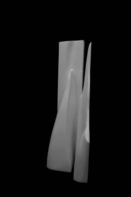 Golnar Ghasimi; Untitled 009, 2018, Original Sculpture Other, 34 x 70 cm. Artwork description: 241 from Inside Invisible seriesSculptureFiberglass...