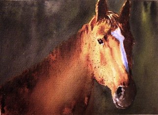 Ivan Grozdanovski; Portrait Of A Brown Stallion, 2013, Original Watercolor, 18 x 13 cm. Artwork description: 241                    portrait of a brown stallion  landscape               Cottage in early spring                 ...