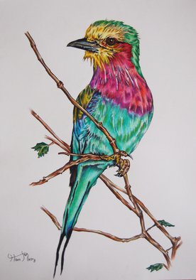 Hiten Mistry; Lilac Breasted Roller, 2014, Original Drawing Other, 25 x 30 cm. Artwork description: 241  art, lilac breasted roller, birds, green, pink, feathers, lilac, branch, twigs, animals, wildlife, bird paintings, lilac breasted roller paintings  hiten mistry     ...