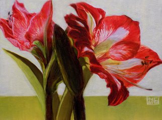 H. N. Chrysanthemum; Amaryllis, 2018, Original Painting Oil, 12 x 9 inches. Artwork description: 241 original oil painting, amaryllis, red, green...