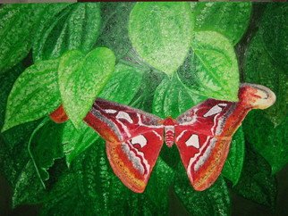 Hnin Aye; Cool Leaves Hot  Butterfly, 2009, Original Painting Oil, 4 x 3 inches. Artwork description: 241  One day I found a butterfly on the leaves of a black pepper plant. The scene arouse my heart to make a painting. ...