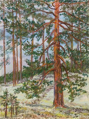 Irina Maiboroda, 'Large Pine', 2016, original Pastel, 24 x 32  x 0.2 cm. Artwork description: 2793 pastel, threes, pine three, landscape, plein air, nature, Finland, forest. The work is under a passe- partout 50x40 cm....