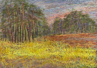 Irina Maiboroda, 'Pine Forest', 2012, original Pastel, 25 x 17  x 0.1 cm. Artwork description: 2103  landscape, abstract, imaginary, impression, colorful, forest, pine, plein airThe work is shipped with a passe- partout 40x30 cm           ...