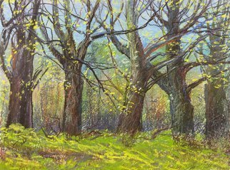 Irina Maiboroda, 'Through The Forest', 2016, original Drawing Pastel, 32 x 24  x 0.2 cm. Artwork description: 2103    landscape, abstract, impression, colorful, sun, morning, spring, forestwork is with passepartout 50 A-- 40 cm     ...