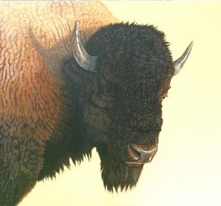 Jacquie Vaux; Big Buffalo, 2008, Original Painting Acrylic, 52 x 54 inches. Artwork description: 241  A Big Buffalo Face to face ...