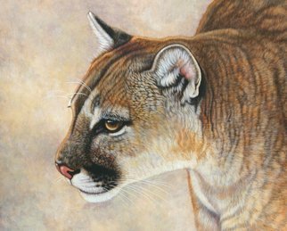 Jacquie Vaux; Stalking Cougar, 2008, Original Watercolor, 22 x 20 inches. 